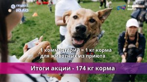 Волонтеры меняют жизни брошенных кошек и собак НАВСЕГДА | Поездка FRANK AUTO в приют ЮАО
