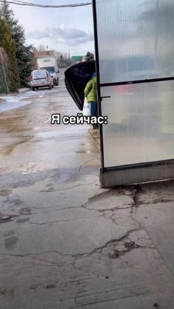 #фитодизайн #комнатныерастения #озеленение