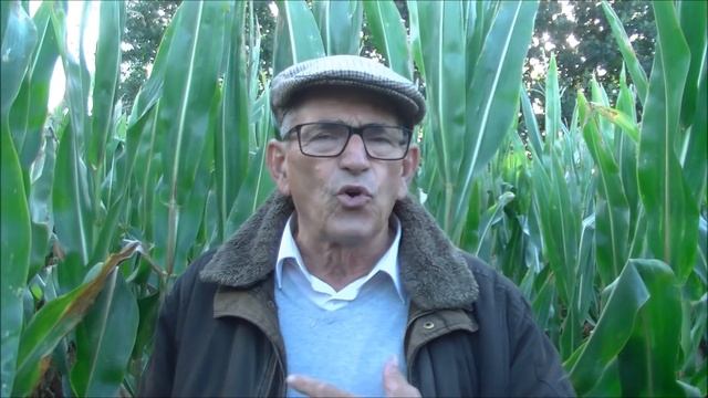 Liever een biefstukje dan gefrituurde vliegenmaden смотреть онлайн