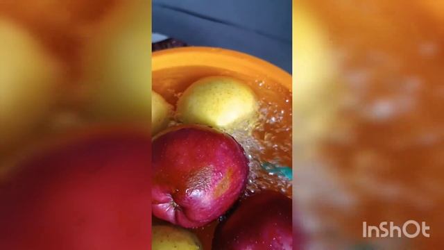 Озонатор "Тяньши"-1бөлім смотреть онлайн