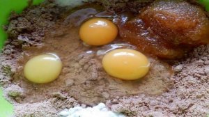 Гречневое печенье с медом