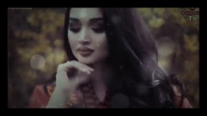 ДАРДЛИ КУШИКЛАР