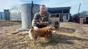 "Не убивайте – помогайте: почему я против эвтаназии бездомных животных"