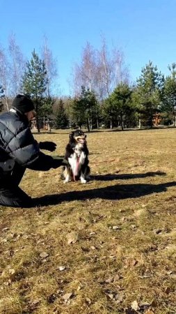 АО Бэка - начало обучения ловле летящего диска