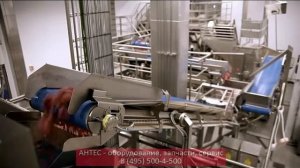 Линия производства фарша Karl Schnell - АНТЕС