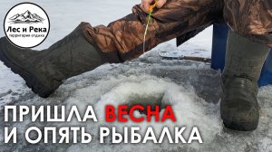 Весенняя рыбалка