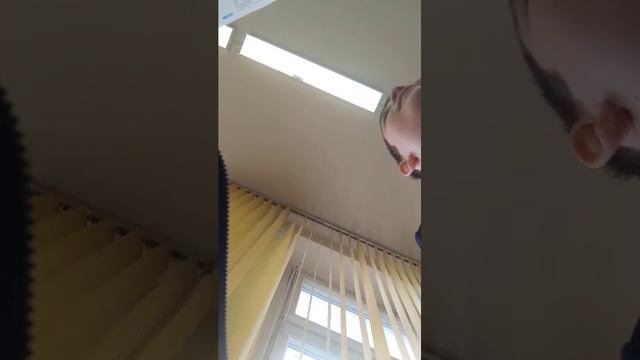 школа