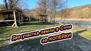 Сколько сейчас стоит купить землю у моря в городе Сочи ?