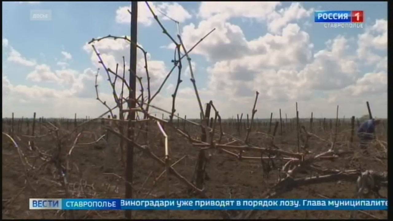 Скидка Онлайн Ставрополь