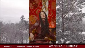AY YOLA - Homay  ( Red Tiger Remix )
