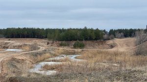 В лесу под Марксом незаконно добывали песок. «Законность» с Диной Батуровой