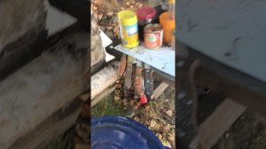 Стан на берегу Томи