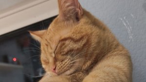 прохождение ториэль ХАРД МОД