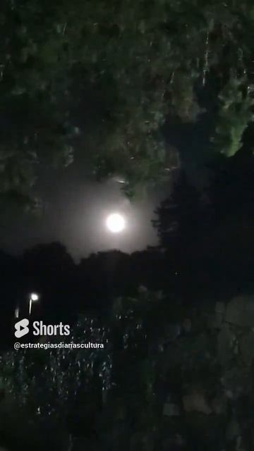 1 de octubre de 20231 #nature #moon #moonlight