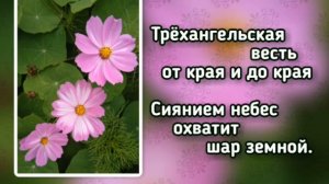 24(2-)Хвала Тебе хвала караоке