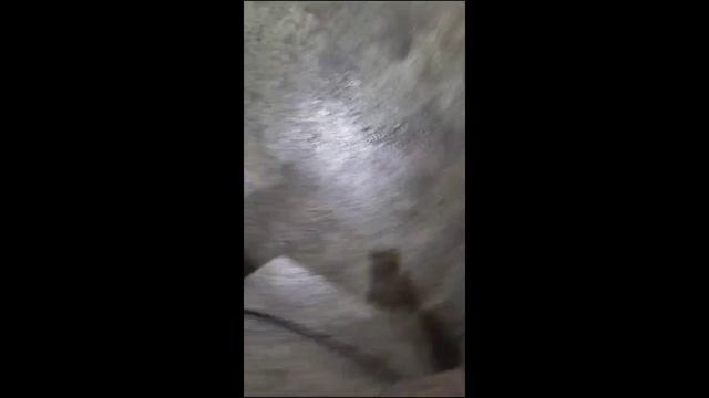 Причины износа суппорта и их устранение