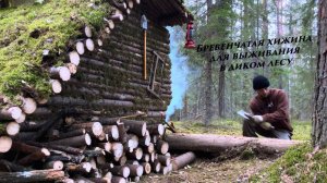 Строительство бревенчатой хижины для выживания в диком лесу | Лесной кемпинг | Bushcraft