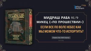 Если все по Воле Небес как мы можем что-то испортить? | Мидраш Раба, 91 | Берейшит (Микец)