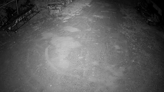 IP видеокамера HiQ 1,3 mpx, серия Basic, Ночь (без дополнительного освещения) смотреть онлайн