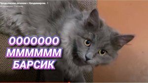 К КОМУ ПРИЕЗЖАЛА СВЕТА ? ЧТО ТО ТВОРИТСЯ С ВОЛОДЕЙ .....