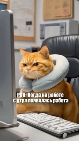 Когда с утра появилась работа