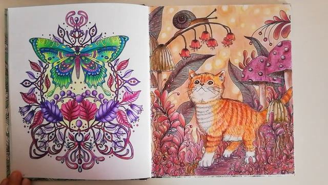 Моя коллекция раскрасок, 5 часть ❤️❤️❤️