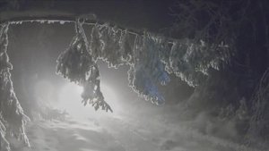 ПВД Басеги 2020