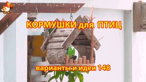 Кормушка для птиц своими руками как сделать пошагово  (148) 🪚🪛🔨 Идеи для дачи и сада❣️