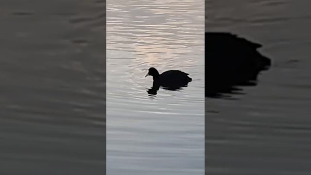 Весенняя психотерапия на Донецком море