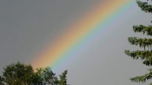 4842706-hd_1920_1080_30fps