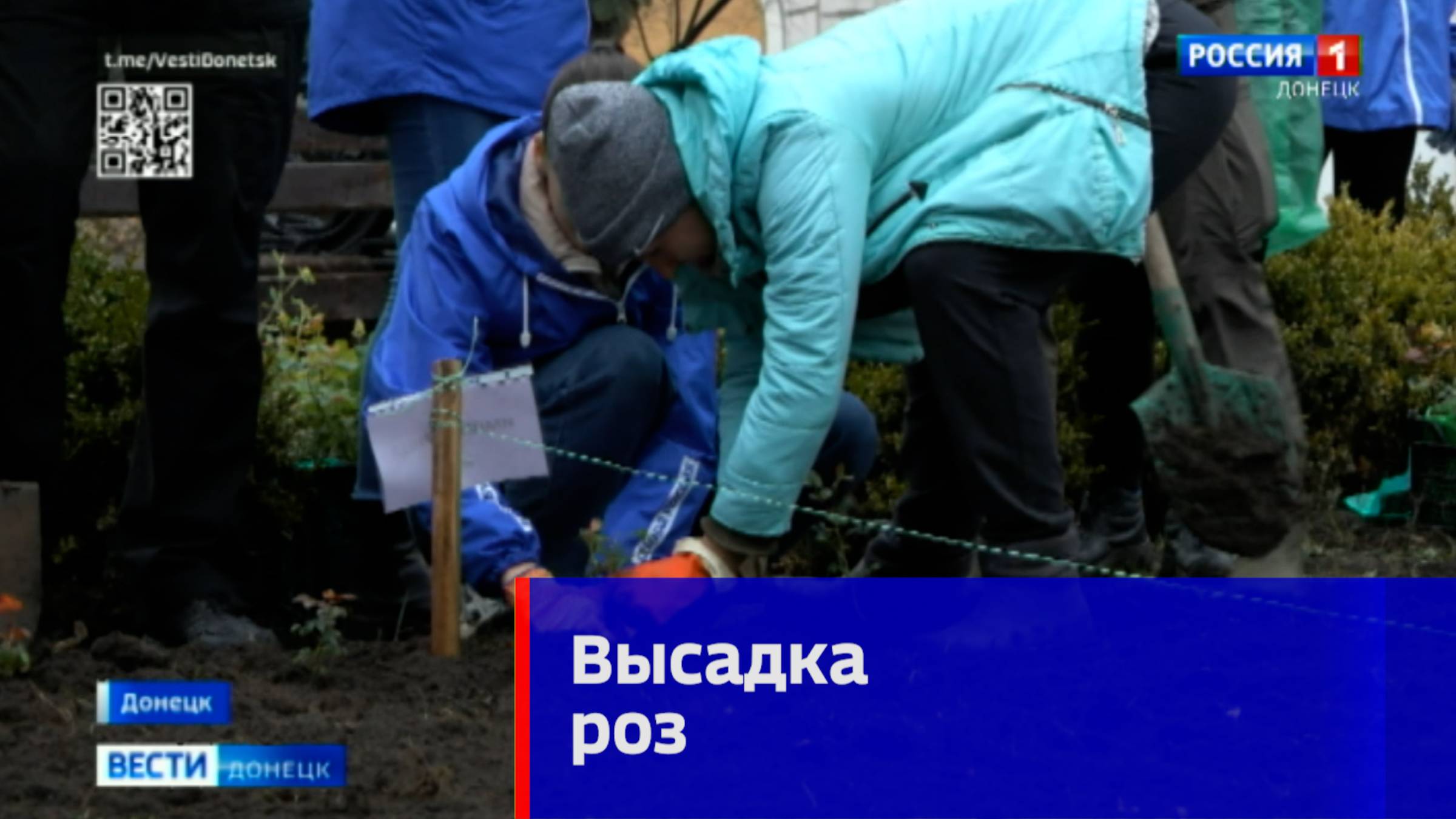 1000 кустов роз сегодня высадили в центре Донецка