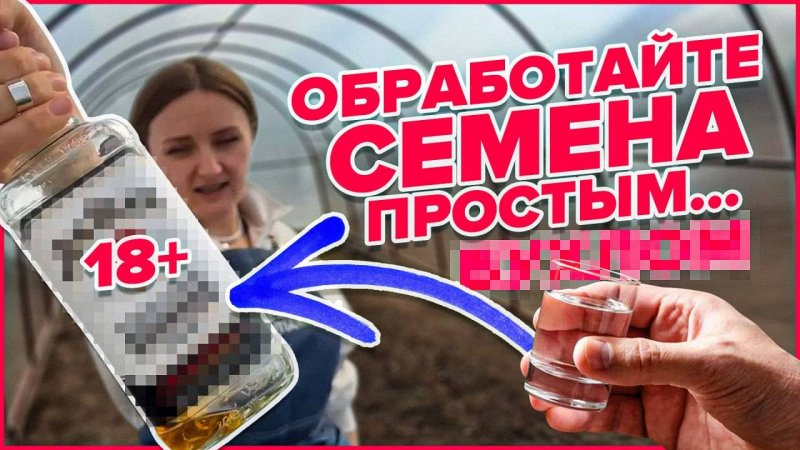 ЧЕМ ОБРАБОТАТЬ СЕМЕНА ПЕРЕД ПОСЕВОМ