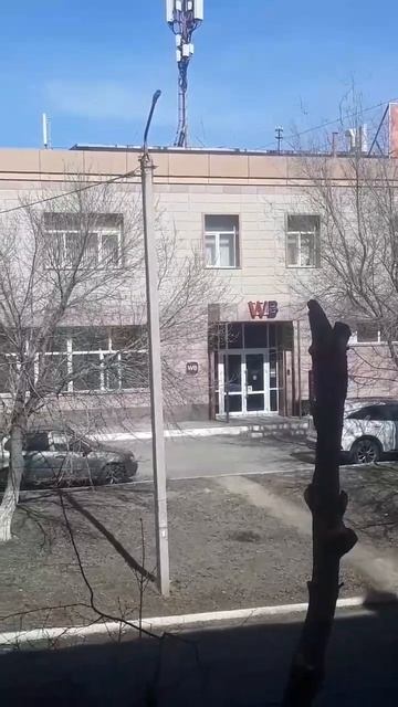 На улице Восточной уничтожают деревья. Как хорошо было только вчера,стайки птиц прилетали и щебетали