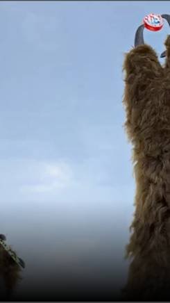 TRIBE AR Bear