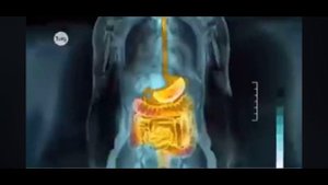 Нәруыздар(ақуыздар). Олардың қасиеті мен қызметі. 8-сынып. 2- бөлім. Молекулалық биология