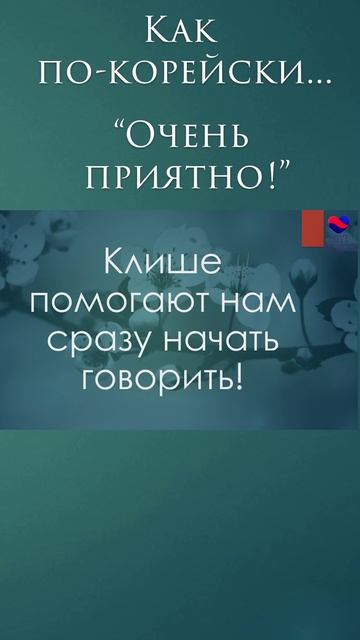 "Рад встрече" по-корейски #учимсвоютысячу