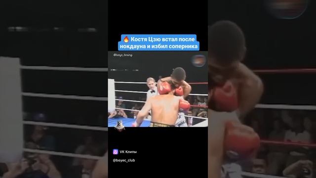 clip-226314954_456239462.mp4