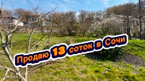 Два недорогих участка земли в Сочи в хорошем месте продаю