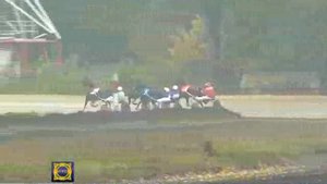 На республиканском ипподроме состоялся финал "Большого Сибирского круга"