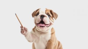 Целых 100 цветов на английском языке! Скорее запускай видео и начинай изучение! Вуф-вуф!