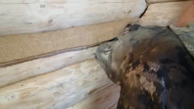 Конопатка сруба.mp4