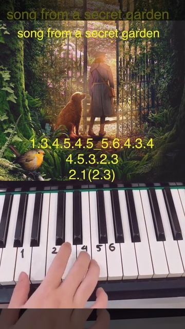Song From a Secret Garden - khuvuonbimat #songfromasecretgarden #huongdan #piano #learnpiano смотреть онлайн