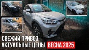 Свежий обзор японских авто – лучшие бюджетные и семейные модели!