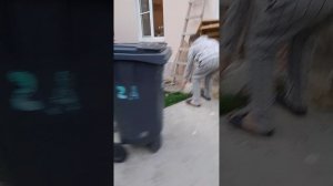 камень ножницы бумага ✊✌️🤚