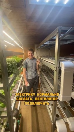 Новый стеллаж для салата