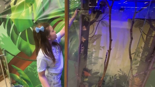 С Камилкой в зоопарке смотреть онлайн