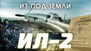 Из-под земли: Ил-2. Затерянный в лесах