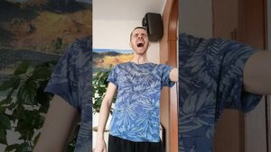 Кавер ария ворон тест