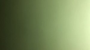 В лунном сиянии снег серебрится