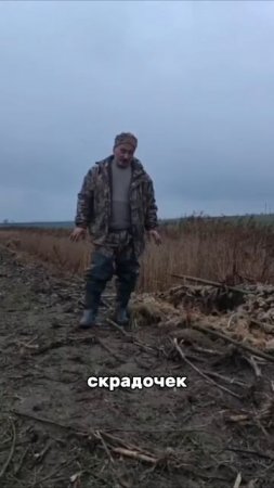 Охота на Гуся 🐦🎯